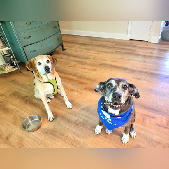 Meet your Posher, Rayleana - Picture 1 of 1